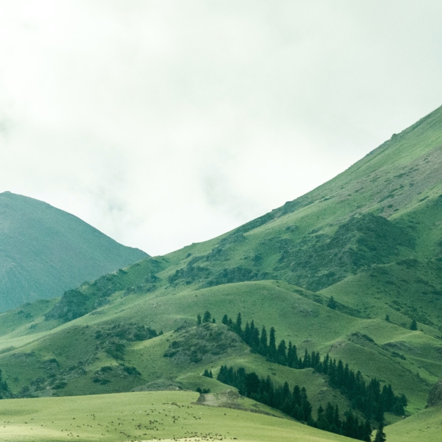 Tattoo artwork by Prospect Ink